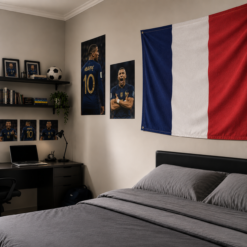 Alternative view of France Flag (2x3 ft)